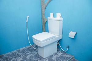 锡吉里亚Sigiri Sandilu Homestay的浴室设有蓝色墙壁上的白色卫生间