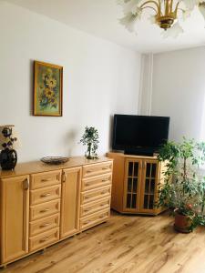 格但斯克Apartament 2 pokojowy Gdańsk的客厅配有木柜上的平面电视