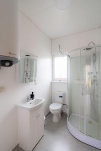 BražuolėBona Natura Nameliai的浴室配有卫生间、淋浴和盥洗盆。