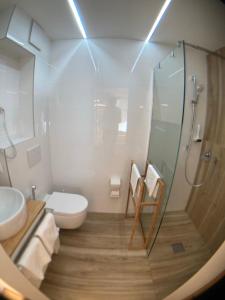 上特劳恩Seehotel am Hallstättersee modern rooms的一间带玻璃淋浴和卫生间的浴室