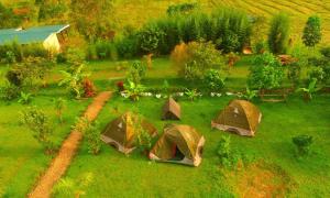 NtungamoMuga Eco Village的草原上的一组帐篷