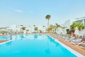 卡门港凯莱伊左洛俱乐部酒店的一个带躺椅的大型游泳池,棕榈树