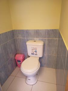 HuillanopampaTaquile Familia Celso的浴室设有卫生间和粉红色垃圾桶