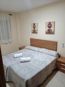 拉斯加比亚斯Apartamento Pergar II Alojamiento para empresas-WIFI 4 Personas的一间卧室配有一张床,上面有两条毛巾