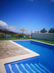康塞普西翁新镇Casa rural La Pradera的享有田野景致的蓝色游泳池