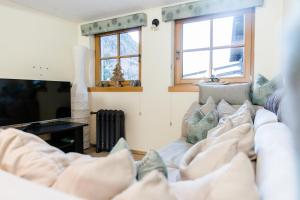 索尔登Alpine Lodge Sölden - Chalet & Apart的带沙发和电视的客厅