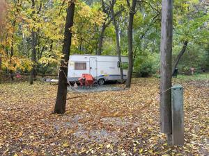 塞格德Tisza-beach wild camping 5的停在森林里的拖车,在地面上放树叶