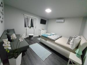 博加奇Sunny Garden Apartment的相册照片