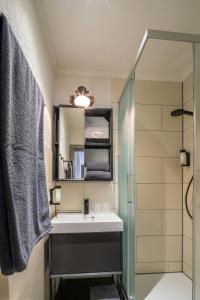 美因茨Hof Ehrenfels的一间带水槽、淋浴和镜子的浴室