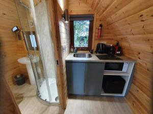 基拉尼Priory Glamping Pods and Guest accommodation的小屋内的厨房设有水槽和淋浴