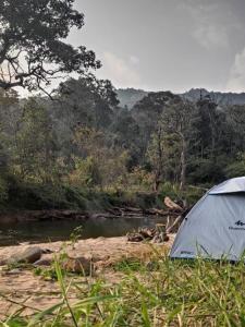 马迪凯里Coorg River Rock Camping的相册照片