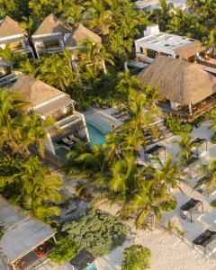 图卢姆Hotel Ma'xanab Tulum的享有度假村的空中景致,设有游泳池和棕榈树