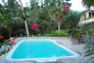 Glacis山顶别墅酒店的鲜花庭院中的蓝色游泳池