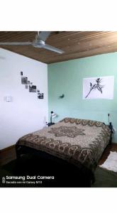 伊瓜苏港Jardín de Naipí 2的卧室配有一张挂着蜘蛛的床铺