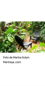 伊瓜苏港Jardín de Naipí 3的两把黑色椅子坐在种植了植物的花园中