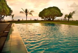 本托塔The Pleasure Kosgoda的一座棕榈树环绕的游泳池