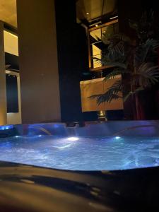 La suite Grenoble spa jacuzzi et sauna privatif内部或周边的泳池