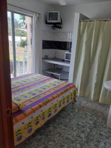格兰贝伊Obelix Apartment的一间卧室设有一张床、一台电视和一个窗口。