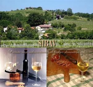 Farm stay Šibav B&B的酒水