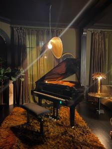 南希1901别墅的钢琴,带椅子和灯的房间