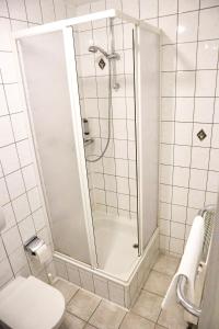 奥尔贝尔恩豪Pension Zur Wartburg的带淋浴和卫生间的浴室