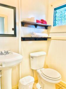 希洛Wild Ginger Hotel的一间带卫生间、水槽和镜子的浴室