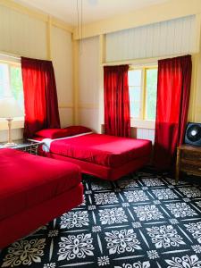 希洛Wild Ginger Hotel的一间卧室设有两张床和红色窗帘