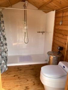Esgair-geiliogDyfi Dens Machynlleth的一间带卫生间和淋浴的小浴室