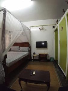 蒙巴萨SAFI Apartment的一间带床和电视的客厅