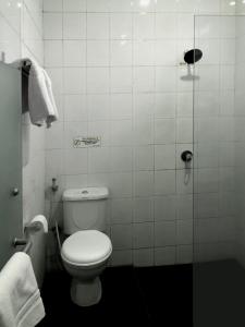 Sedati塞纳3酒店的一间带卫生间和淋浴的小浴室