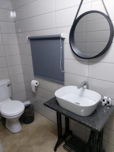 哈特比斯普特Cock & Bull Restaurant - Pub - Accommodation的一间带水槽、镜子和卫生间的浴室