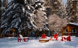 卡斯特尔朱克逊Castle Mountain Chalets的一组红色椅子在雪地里,在小屋前