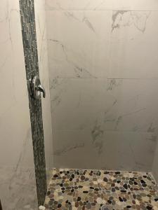 拿撒勒Aqua Saint Thomas的带淋浴的浴室和玻璃门