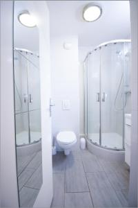 普瓦西Joli studio tout confort à 2 pas de la gare Poissy的白色的浴室设有卫生间和淋浴。