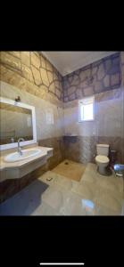 卢克索Nile palace villa的一间带水槽和卫生间的浴室