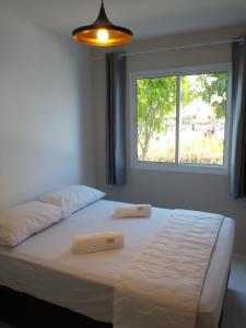 嘎林海斯港Palm Village Acqua - Apartamento Premium - Em frente à piscina - Porto de Galinhas的窗户间内的一张带两个枕头的床
