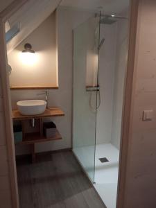 朗波普卢阿尔泽La Lanterne du Bout du Monde的一间带水槽和玻璃淋浴的浴室
