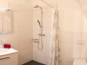 林道Appartementhaus Angelika的带淋浴、卫生间和盥洗盆的浴室