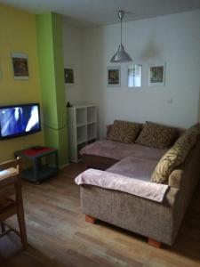 卡尔洛夫Apartmán Orbit的带沙发和平面电视的客厅