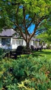 费德拉西翁Bungalows Bella Vista的草地上长着长椅和树的公园