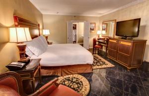 新奥尔良马萨林酒店的配有一张床和一台平面电视的酒店客房