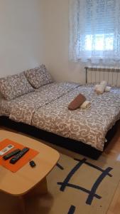 斯雷姆斯卡米特罗维察Sirmijum Hause的一间卧室配有一张床和一张茶几