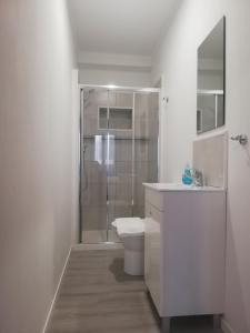 卡斯卡伊斯Cascais Bela House的带淋浴和卫生间的白色浴室