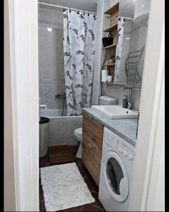斯梅代雷沃ANKA apartman的一间带水槽和洗衣机的浴室