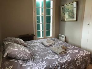 圣马丹德雷St Mart. l'îlot Rhéa的卧室配有带枕头的床铺和窗户。