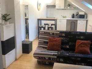 NancrayJoli appartement Nancray的客厅配有带枕头的沙发