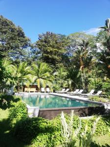卡维塔Passion Fruit Lodge的一个带躺椅的游泳池,棕榈树