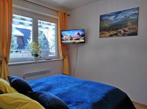 扎科帕内Apartamentylove - Apartament Oliwia的卧室配有一张床,墙上配有电视。