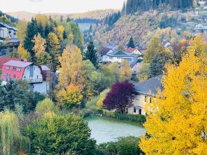 日腾Alpenpension Gasthof的山谷中的一个有河流的小城镇