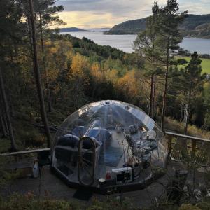 HusbySørfjorden Eye Iglo - Fosen的一张桌子上的帐篷,享有湖景